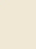 Kastamonu KA-D102-PS14-25 Beige dekor