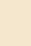Kastamonu KA-D102-PS30-18 Beige dekor