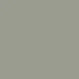 Kastamonu KA-D259-PS30-18 ASH GREEN dekor